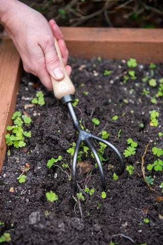  || https://assets.gardeners.com/transform/cc1ad5e3-057a-4926-8746-e1a158eabe1b/8586971_3014-tif
