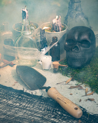 Gardener's Lifetime Trowel
