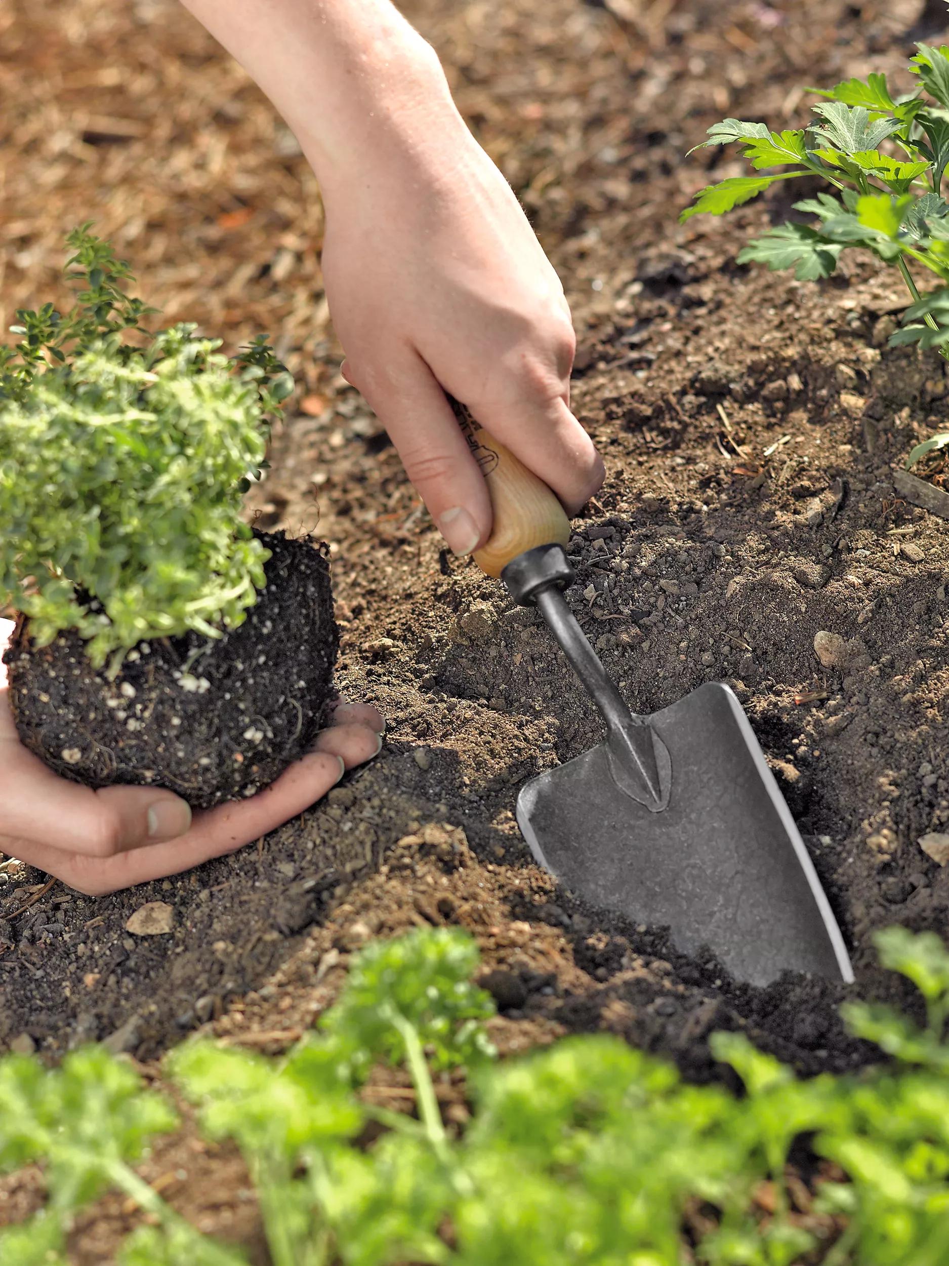 homebase garden trowel Gardener's Lifetime Trowel