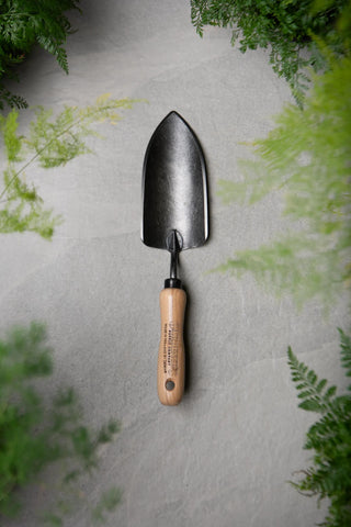  || https://assets.gardeners.com/transform/1bd35129-2dd9-42a7-8b40-d5dbe3dd0374/8586972_5879