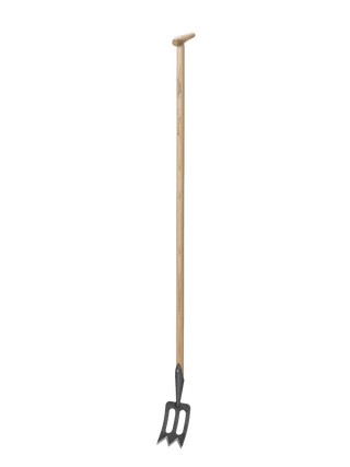  || https://assets.gardeners.com/transform/ea044cf7-ec4a-4627-913e-24116c85a084/8586973_010-tif