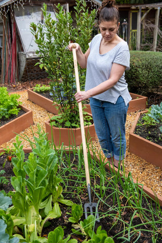  || https://assets.gardeners.com/transform/8f5e7b5f-e231-4340-9bde-50047d7819f9/8586973_2405-tif