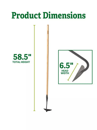  || https://assets.gardeners.com/transform/3b3e2773-8212-4fac-bb3b-23ff5613fdbb/8586976_1