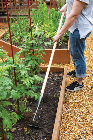  || https://assets.gardeners.com/transform/3a73c591-621f-4ddf-9500-293a83c0561d/8586976_2411-tif