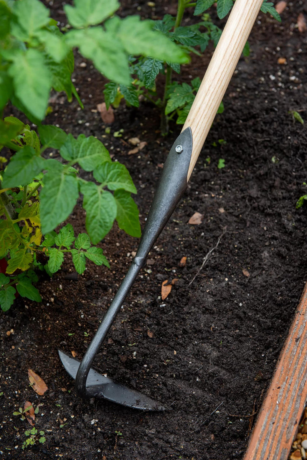 Garden Hoe: Lifetime Half-Moon Hoe Exclusively from Gardener's Supply