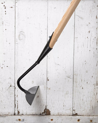  || https://assets.gardeners.com/transform/0dbe9398-c09a-473e-abe6-ef202515e280/8586976_2554-tif