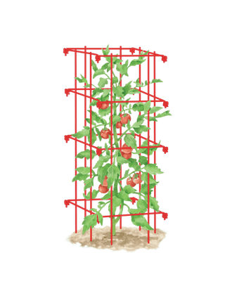  || https://assets.gardeners.com/transform/b84fa2e8-769b-4ad0-bb47-2334c0decdd8/8587039_TomatoCage-tif