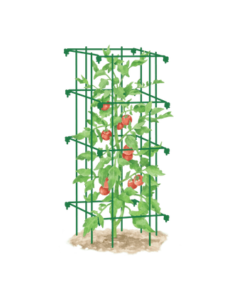  || https://assets.gardeners.com/transform/2bf5f66b-6052-4bd6-b898-5a5dc5ab03fe/8587039_TomatoCage_GRN-tif