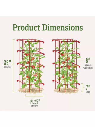  || https://assets.gardeners.com/transform/502564a1-7f21-462b-834c-0f3c4fa6ddf3/8587040_1
