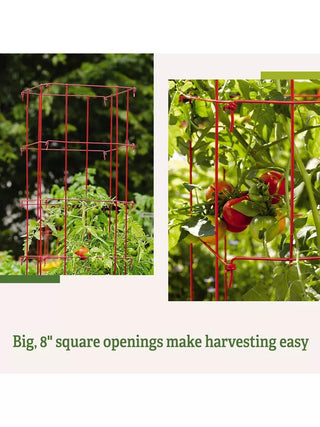 || https://assets.gardeners.com/transform/3c072979-8b7f-42e1-ae59-64ba524af692/8587040_2