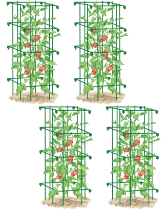  || https://assets.gardeners.com/transform/7e8a9d36-d28f-42ad-b033-7857f55ca5e2/8587040_GR_001E-tif