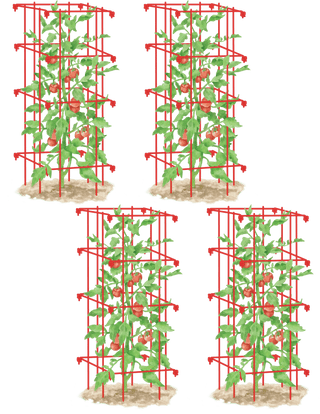  || https://assets.gardeners.com/transform/0db55931-3f26-4777-9ee4-f3cff053f079/8587040_RD_001E_tomato-cages-tif