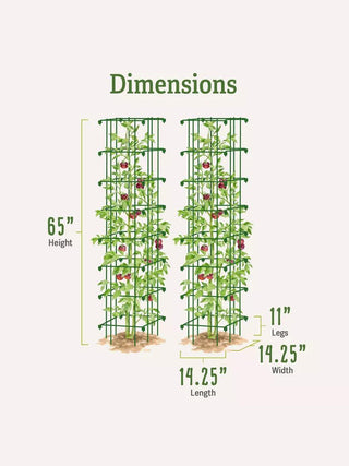  || https://assets.gardeners.com/transform/398501da-67c8-47c3-92de-36a0a258005f/8587041_2