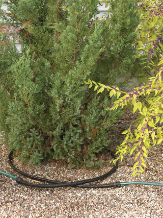  || https://assets.gardeners.com/transform/3cdd41e9-ccfb-43f0-9aa6-7a56f9e68f4f/8587044_220_raised-bed-watering-system-connector-kit-tif