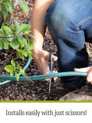  || https://assets.gardeners.com/transform/4cb51608-52c9-438b-ae17-3763b0e853e4/8587044_scissors