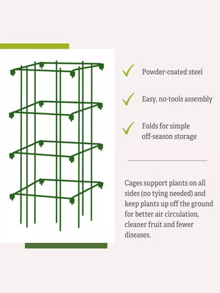  || https://assets.gardeners.com/transform/7019ffb0-9eeb-4b48-8045-87af8a033ae8/8587048_4