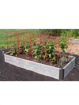  || https://assets.gardeners.com/transform/6f1199d5-e82d-4580-bce3-05cb817e74ad/8587048_6008_3-4