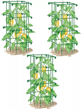  || https://assets.gardeners.com/transform/4b25b7d2-7abd-43ca-86cd-8f30d9e69205/8587048_GR_001E_pepper-and-eggplant-cages-set-of-3-tif