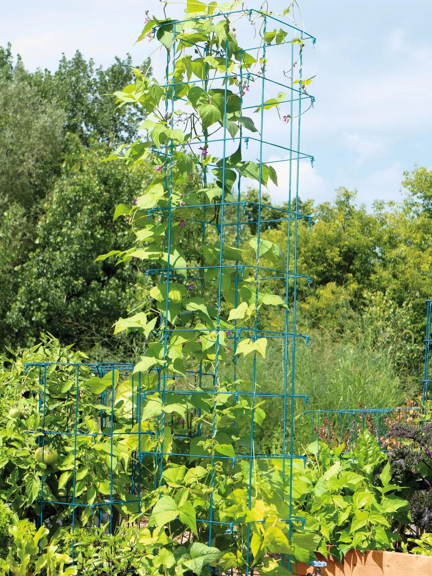 gurney's seed & nursery company bean tower plant trellis Bean Tower | RED