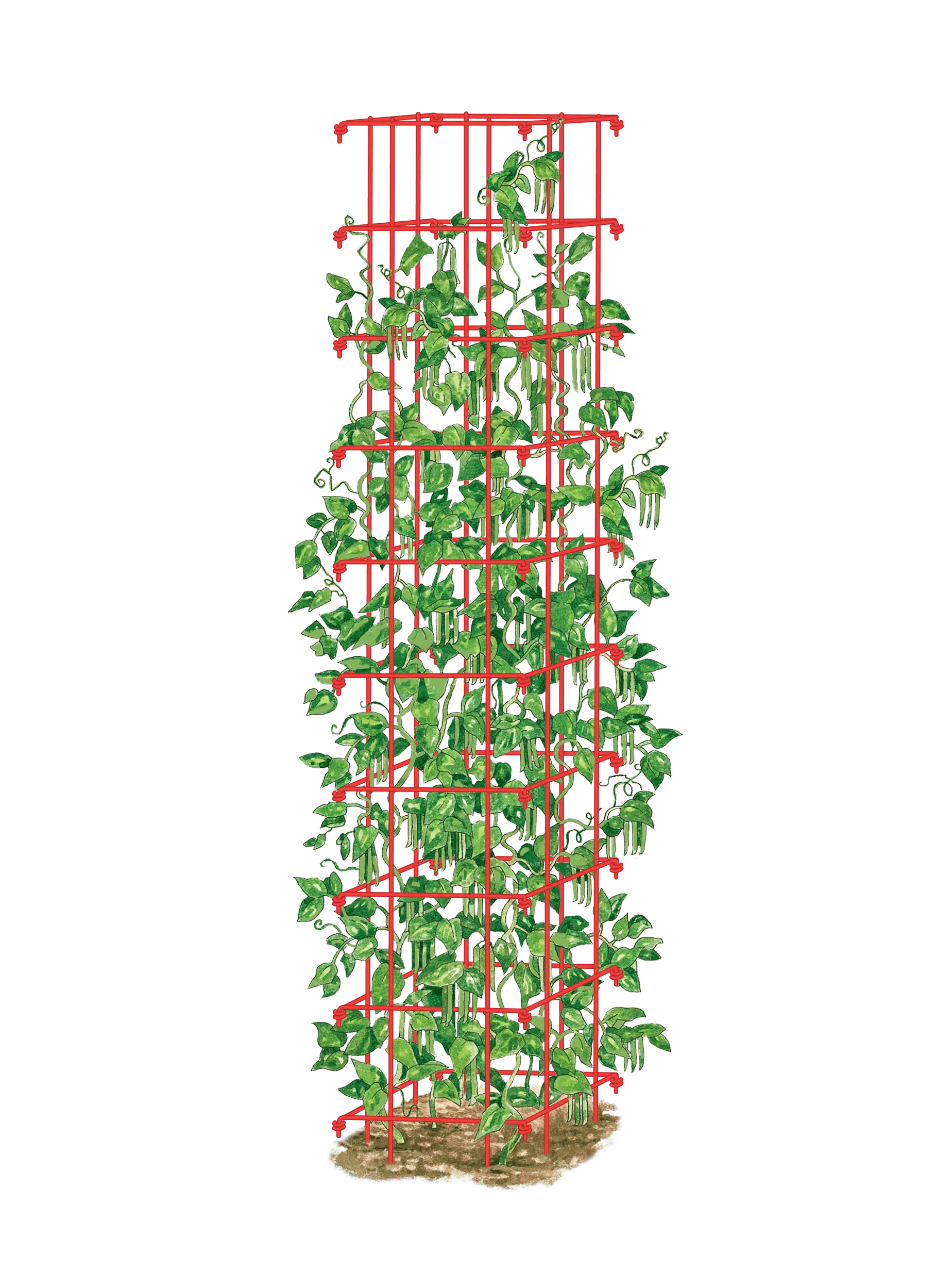 bean tower - plant trellis Bean Trellis - Pole Bean Trellis - Green Bean Trellis
