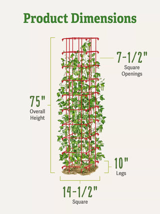  || https://assets.gardeners.com/transform/6401a10f-8e6d-43ea-8408-e756efd75b23/8587060_dimensions