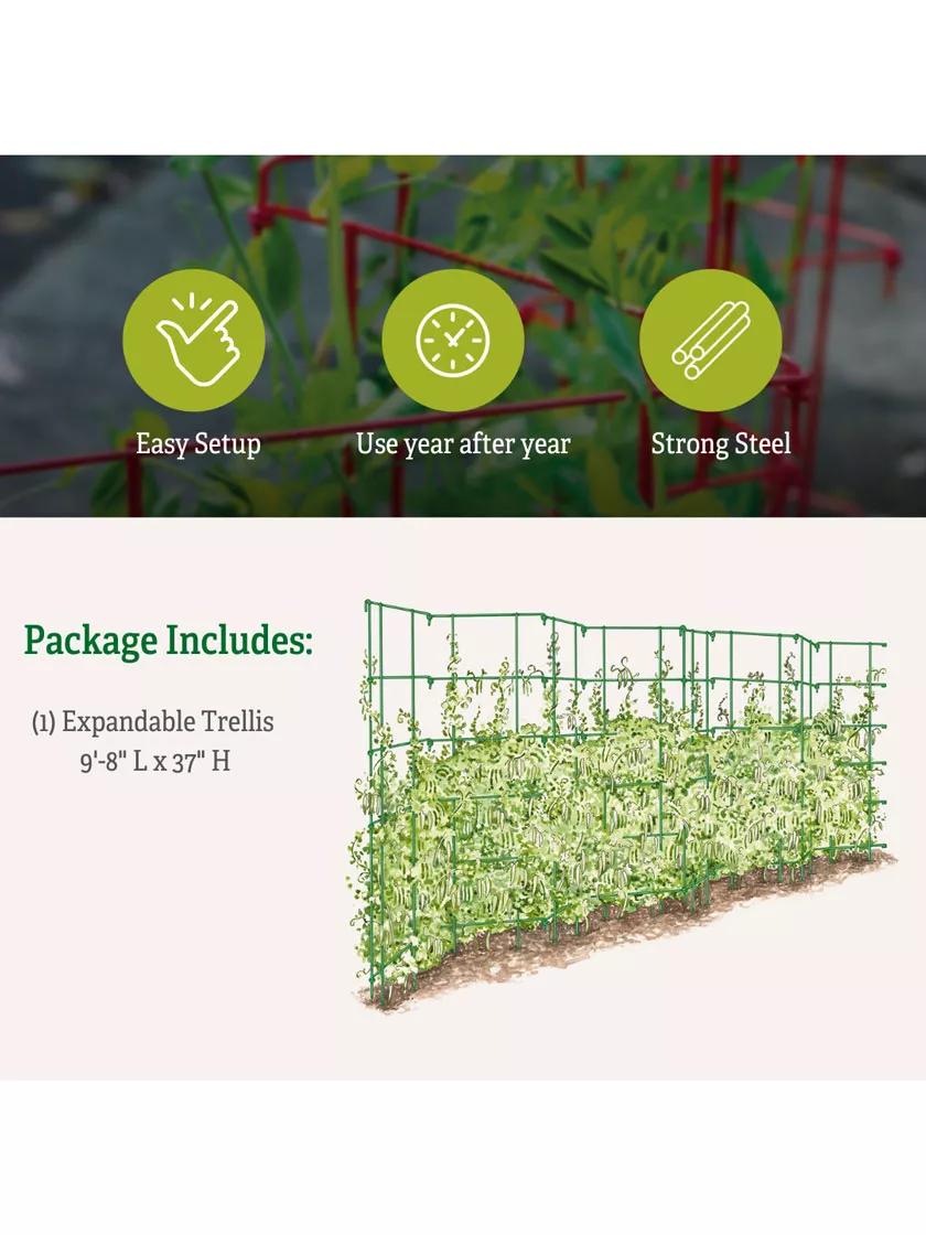 expandable plant trellis Expandable Pea Trellis