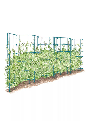  || https://assets.gardeners.com/transform/d8e6df0f-7fbd-4e4f-a467-ef8bfb9ea51b/8587061_PeaFence_SBL_001E_expandable-pea-trellis-storm-blue