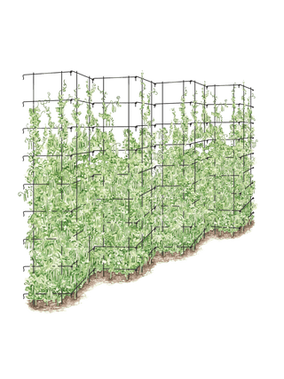  || https://assets.gardeners.com/transform/0d79e444-dc11-4f10-baba-a4e0733fc539/8587062_0001_BLK-tif