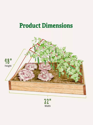  || https://assets.gardeners.com/transform/860a69d8-e499-4db4-a921-d1977106ffa7/8587081_2