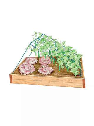  || https://assets.gardeners.com/transform/2634ade2-a3c2-4b07-b8a1-cfbe8fda6f1e/8587081_CukeTrellis-M_BLUE_3-4