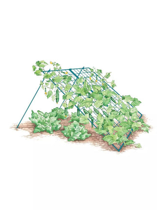  || https://assets.gardeners.com/transform/34e2c044-dec2-4df8-bdea-fa2b1c71d87b/8587082_CukeTrellis-L_BLUE-1_large-cucumber-trellis-support-storm-blue