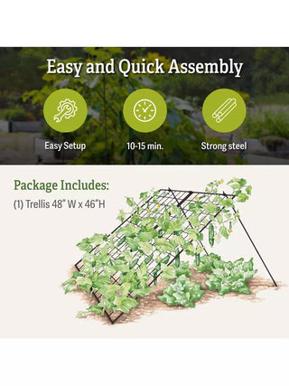  || https://assets.gardeners.com/transform/362a2c6c-5474-47a6-9719-c87c1681692c/_8587082_product-details
