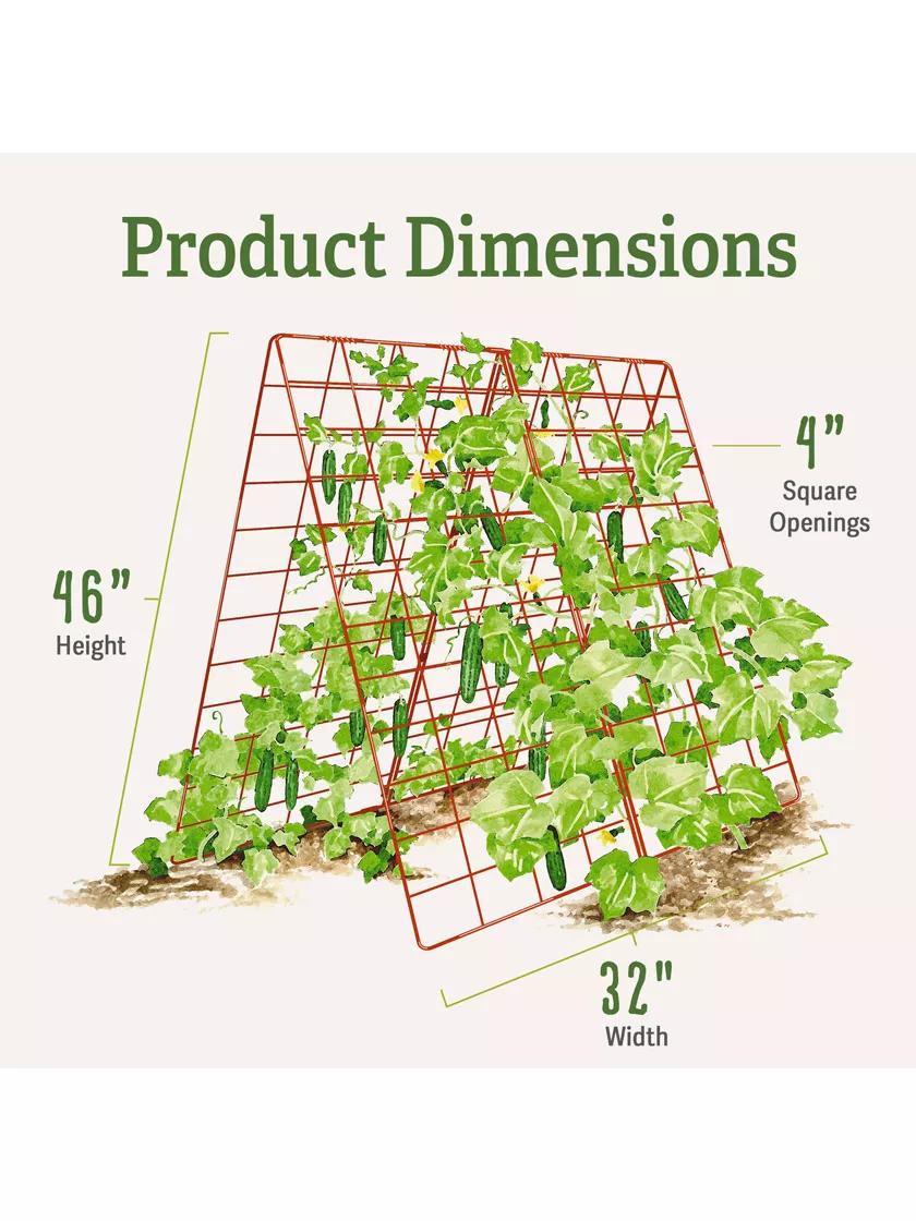 cucumber trellis plant spacing Deluxe Cucumber Trellis