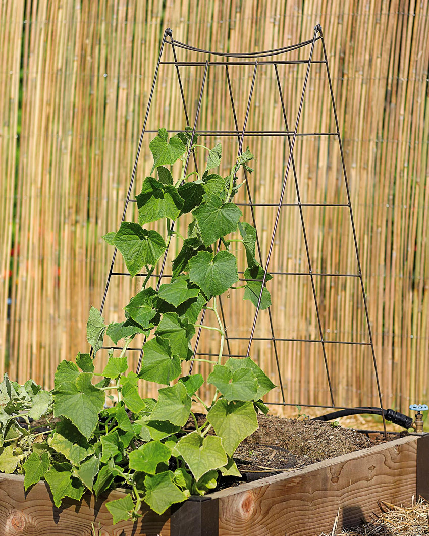 Squash Trellis - Vegetable Trellis: Wire A-Frame | Gardener's Supply