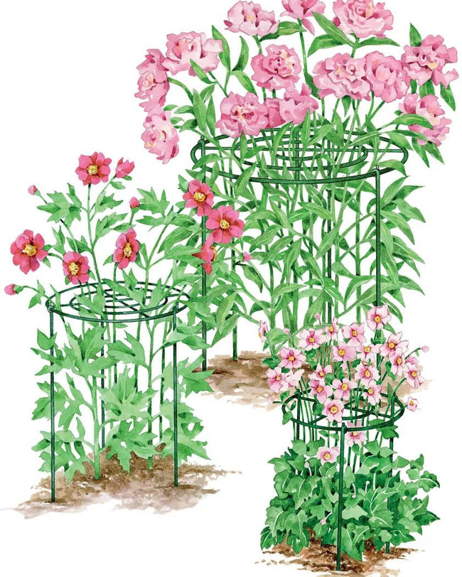 Flower Support Methods Grow Through Flower Supports | Gardener's Supply