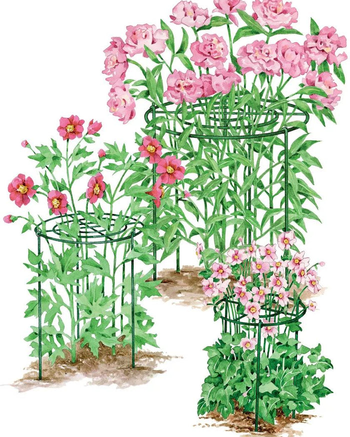 Grow Through Flower Supports | Gardener's Supply