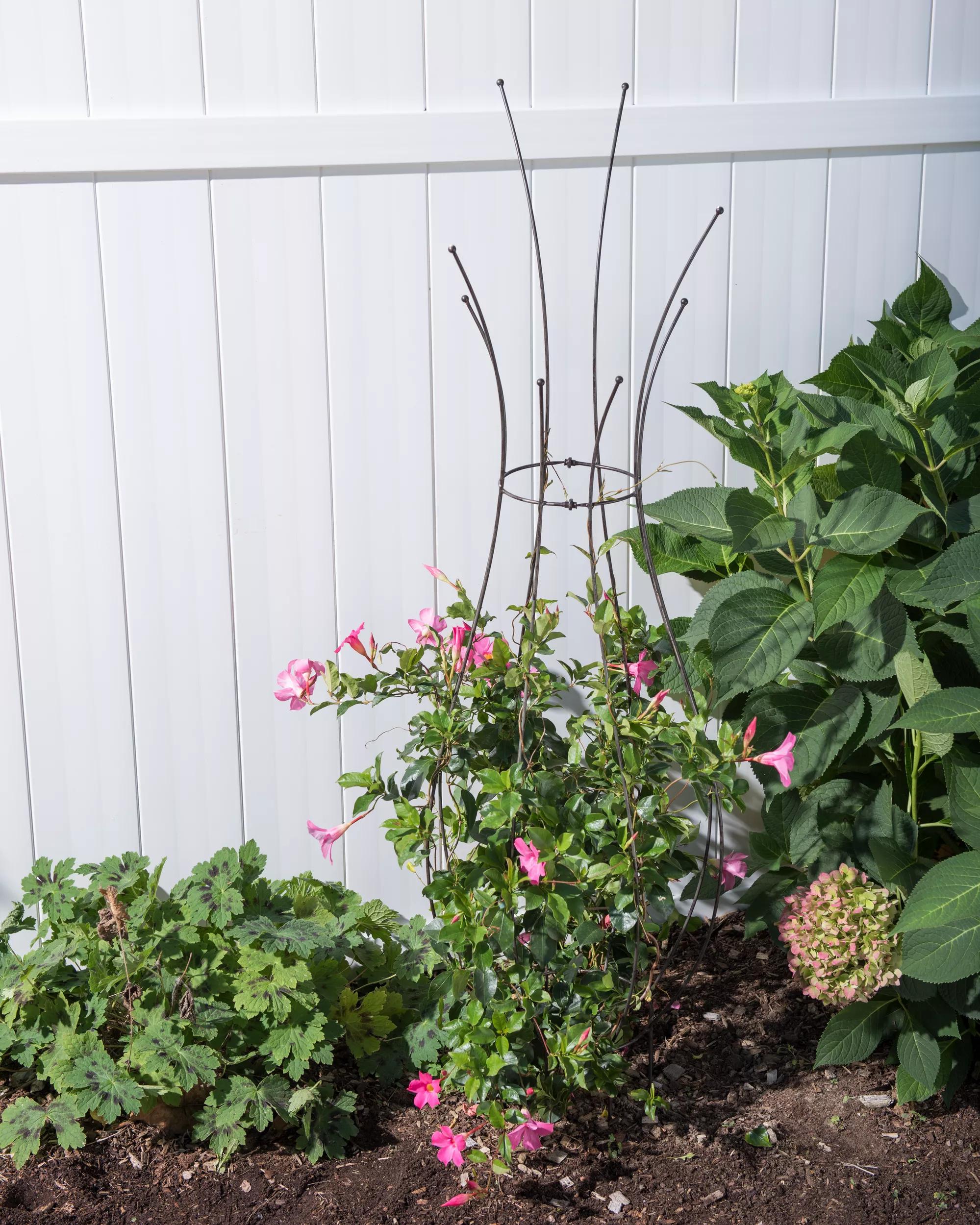 trellis for container plants Jardin Pot Trellis