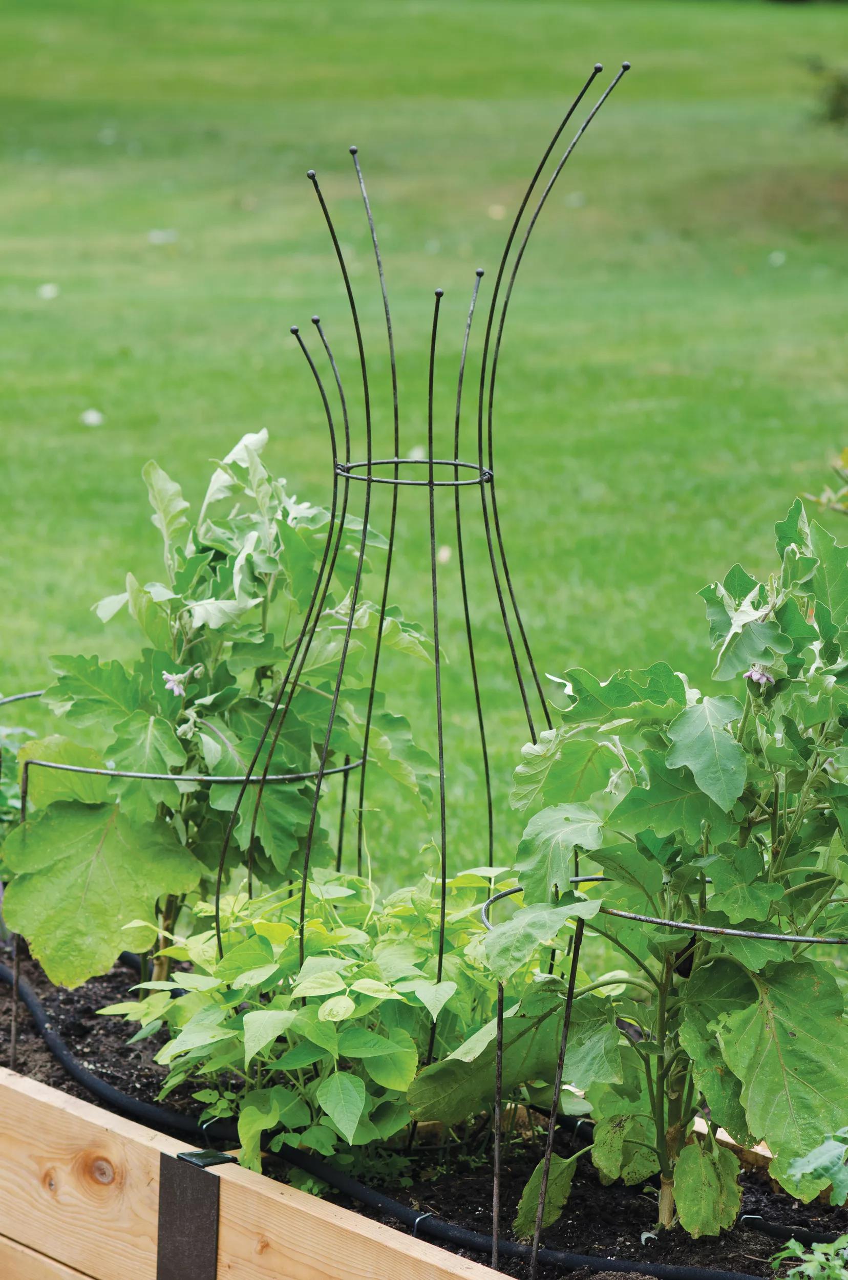 outdoor plant pot trellis Jardin Pot Trellis