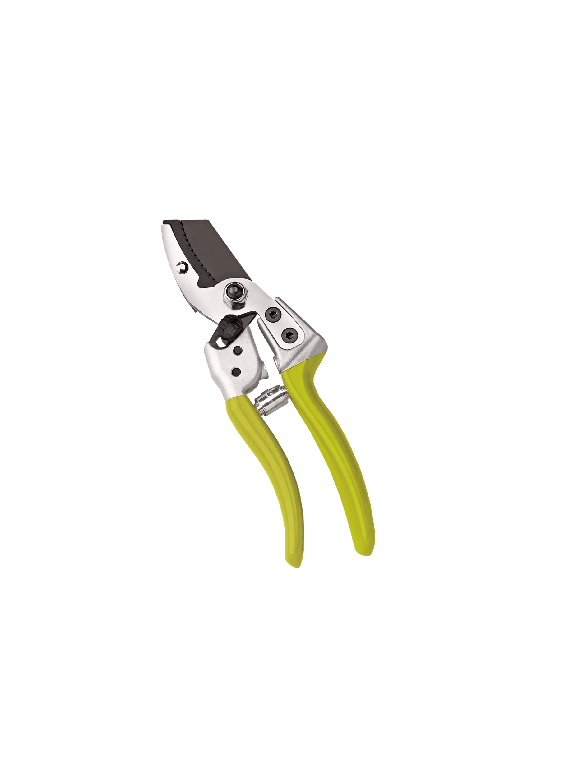 best pruning shears for succulents Anvil Pruners
