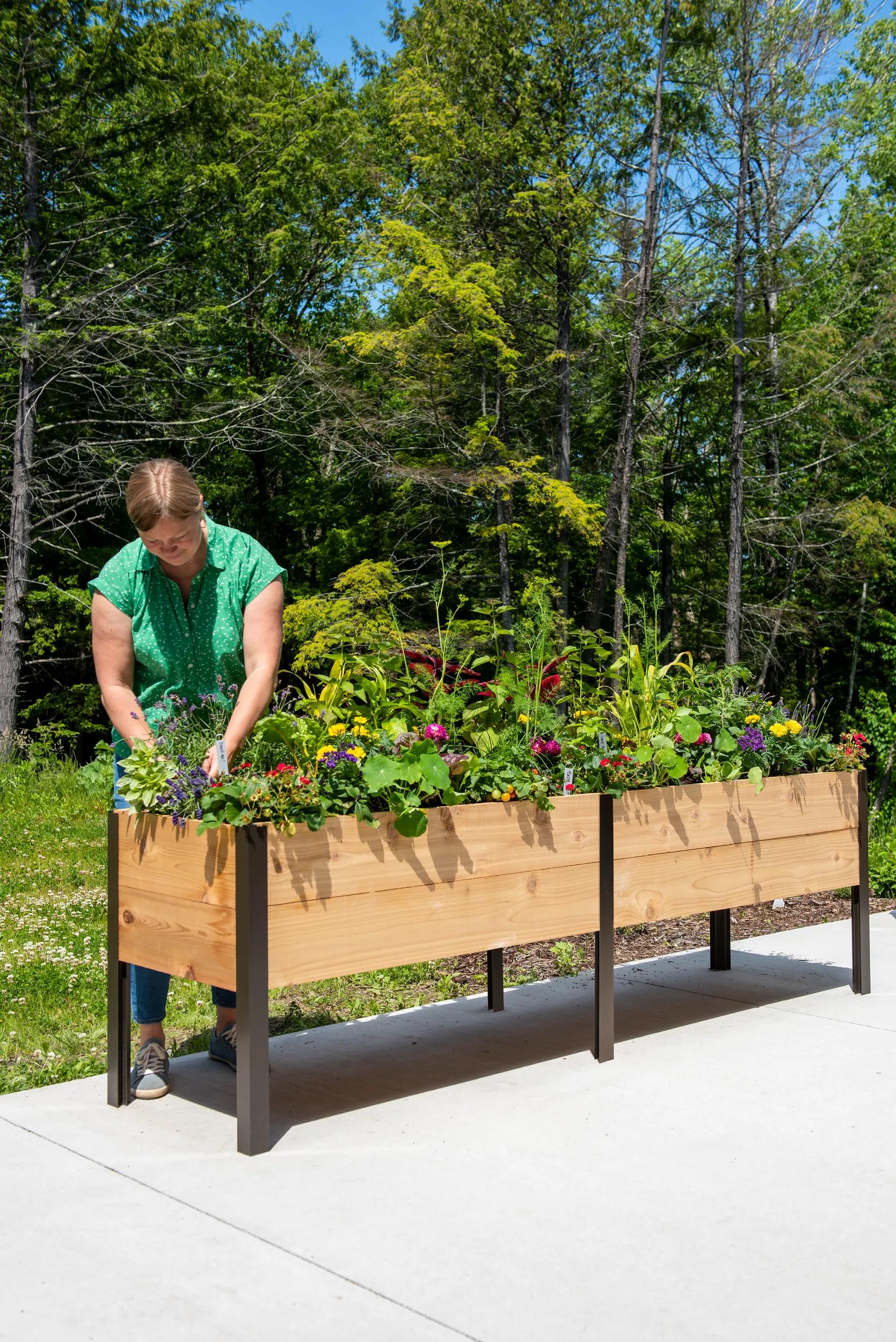 planters boxes 2' x 8' Raised Garden Bed Elevated Cedar Planter Box Standing Garden