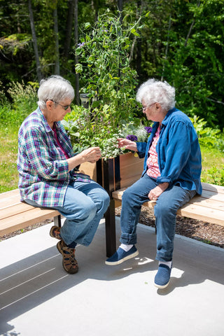  || https://assets.gardeners.com/transform/bce4e658-cdc2-4112-8271-c22f32f707ab/8587631_0557
