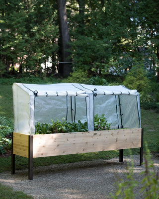  || https://assets.gardeners.com/transform/31e7116a-1394-460e-a704-229c6e11caf6/8587631_262-tif