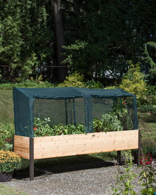  || https://assets.gardeners.com/transform/9df8ec60-619b-48cf-8f10-c9dac1c79287/8587631_314-tif
