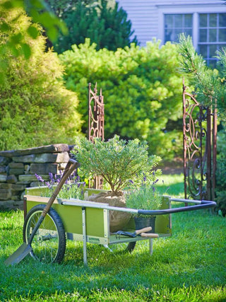  || https://assets.gardeners.com/transform/d67665cc-a2b0-45aa-8588-7747981c4819/8587700C_003-1