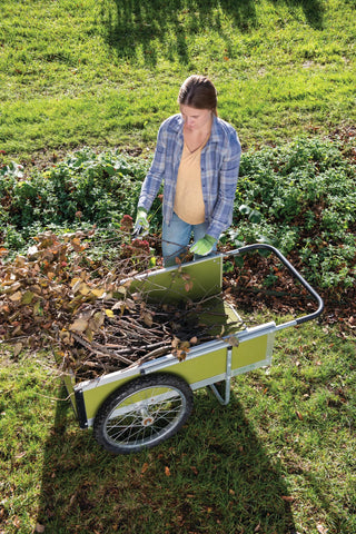  || https://assets.gardeners.com/transform/3ab05e44-51d8-4c0d-8837-416de2541a99/8587700_030-tif