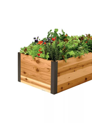  || https://assets.gardeners.com/transform/59dad29d-082b-4730-afd3-9a1e0662d6bb/8587798_001E-1