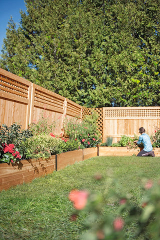  || https://assets.gardeners.com/transform/35058982-c268-482e-85c6-90fb720d6e97/8587802_4840-tif