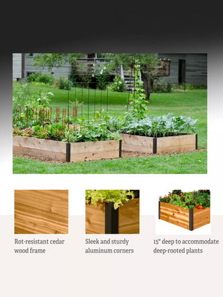  || https://assets.gardeners.com/transform/6cbd57af-1e1f-4960-b515-99be93fa4f55/8587810_3