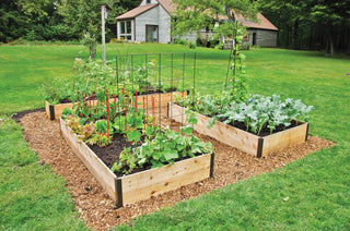  || https://assets.gardeners.com/transform/f66a2c1e-2587-440e-a51d-e76bae6dbc7d/8587812_7058-tif