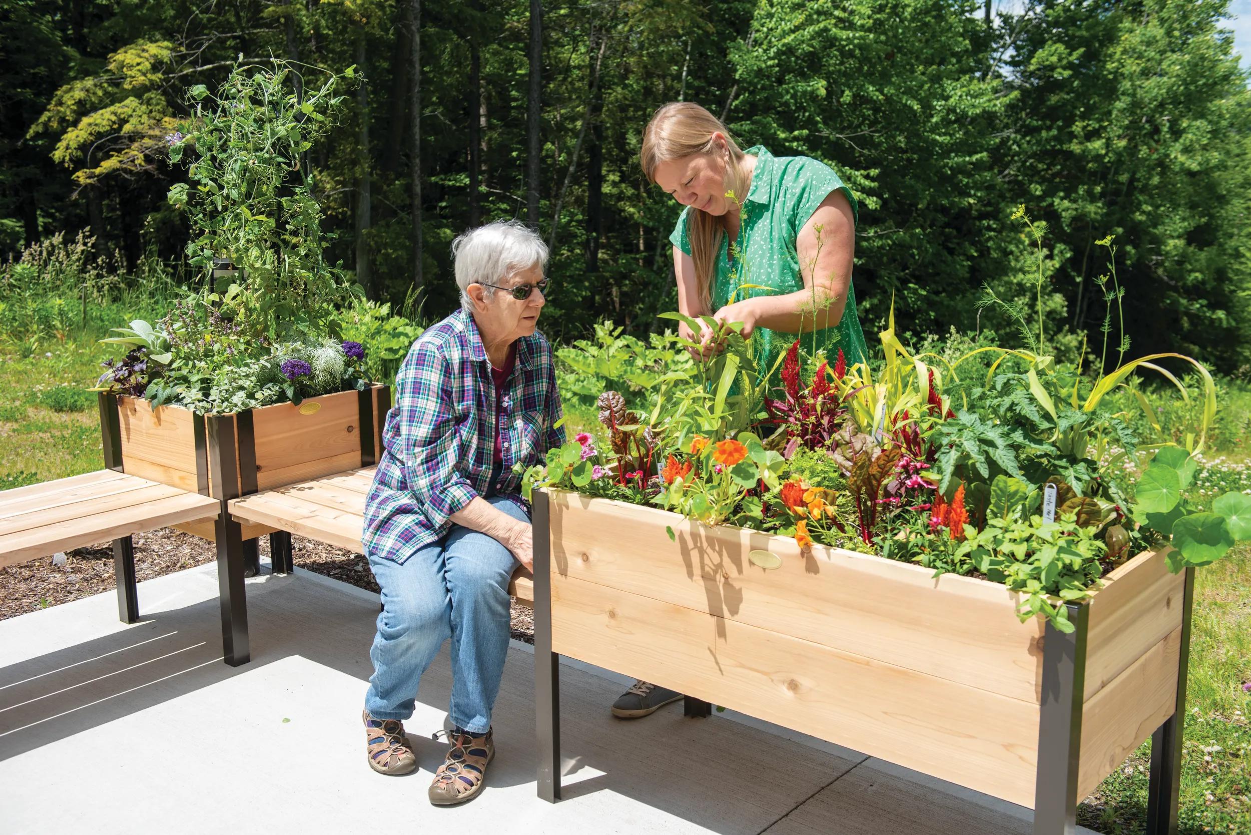 vegetable planters box Elevated Cedar Planter Box, 2' x 4'